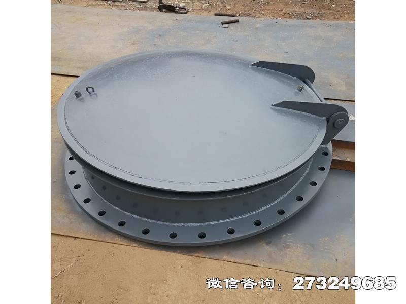 岳塘不锈钢法兰连接拍门