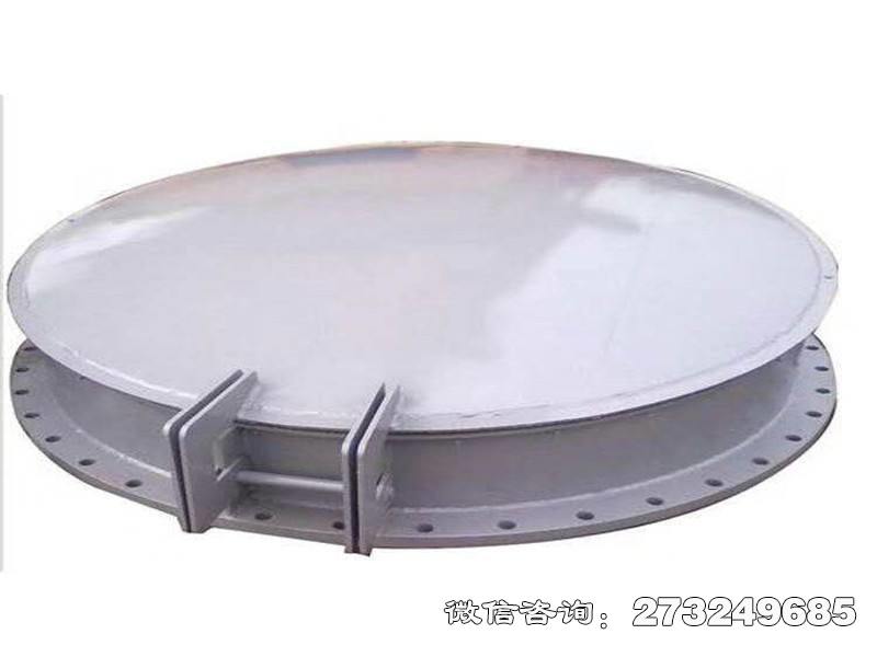 岳塘全不锈钢拍门