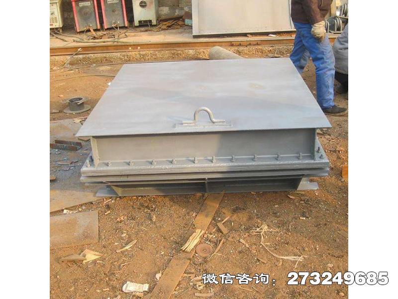 武侯方形钢制拍门