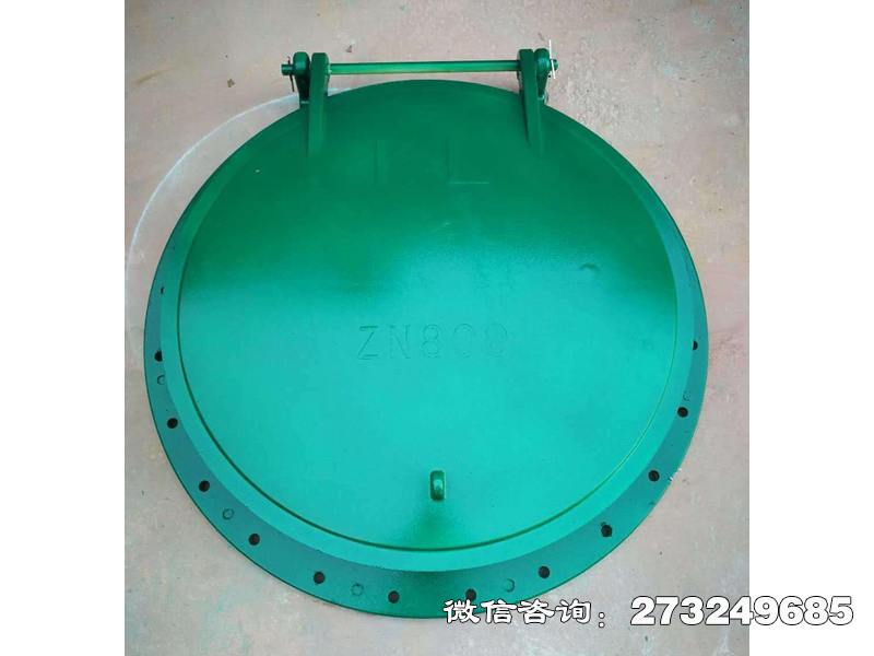 岚山80圆复合材料拍门