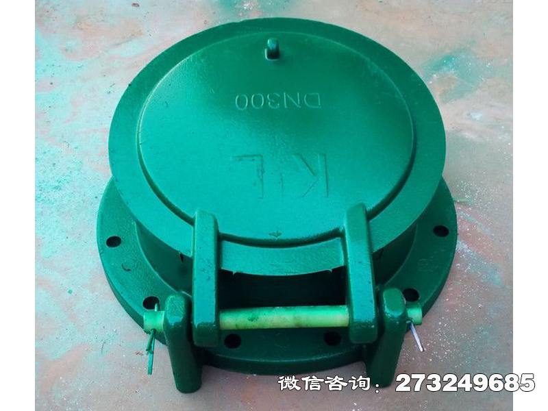 岚山dn300复合材料拍门