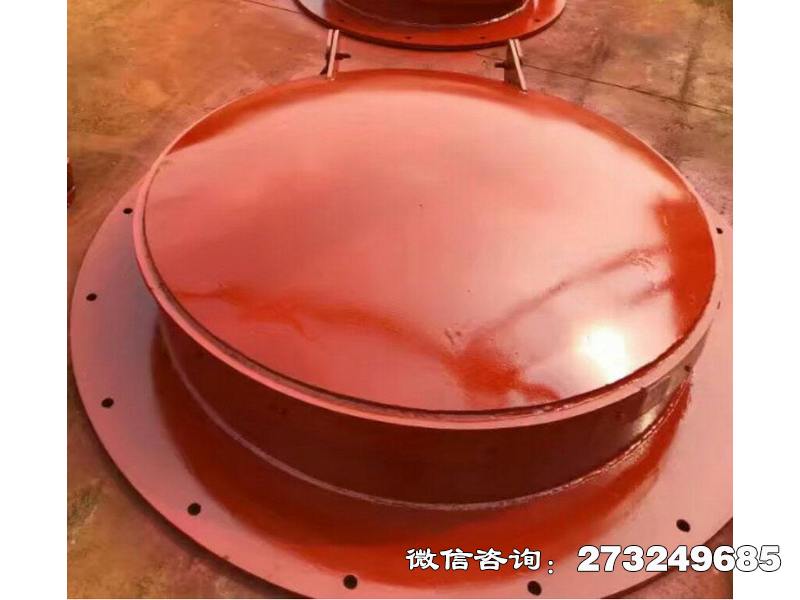 桦川县圆形钢制拍门